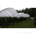 haygrove design agricultural greenhouse